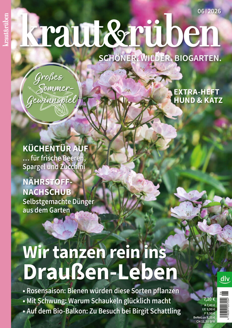 kraut&rüben vom Freitag, 15.05.2026