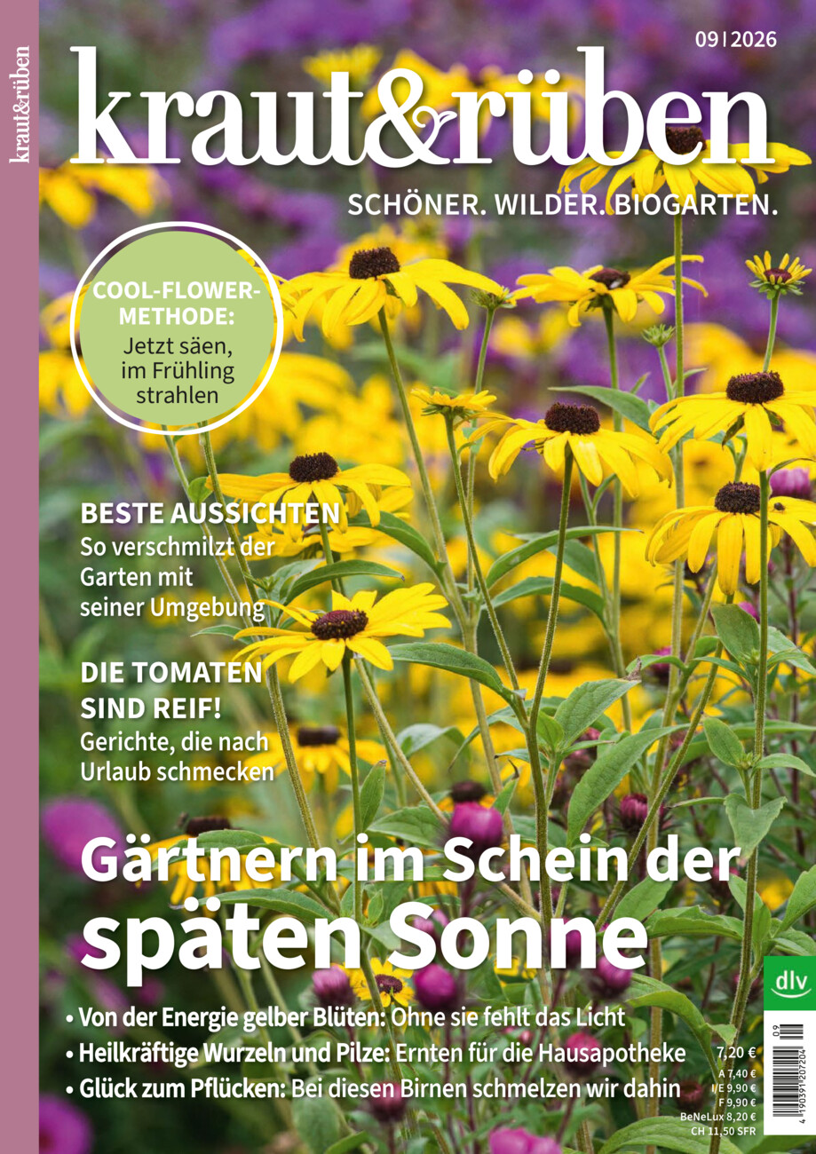 kraut & rüben vom Donnerstag, 20.08.2026