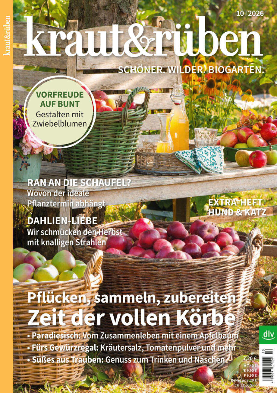 kraut & rüben vom Donnerstag, 17.09.2026