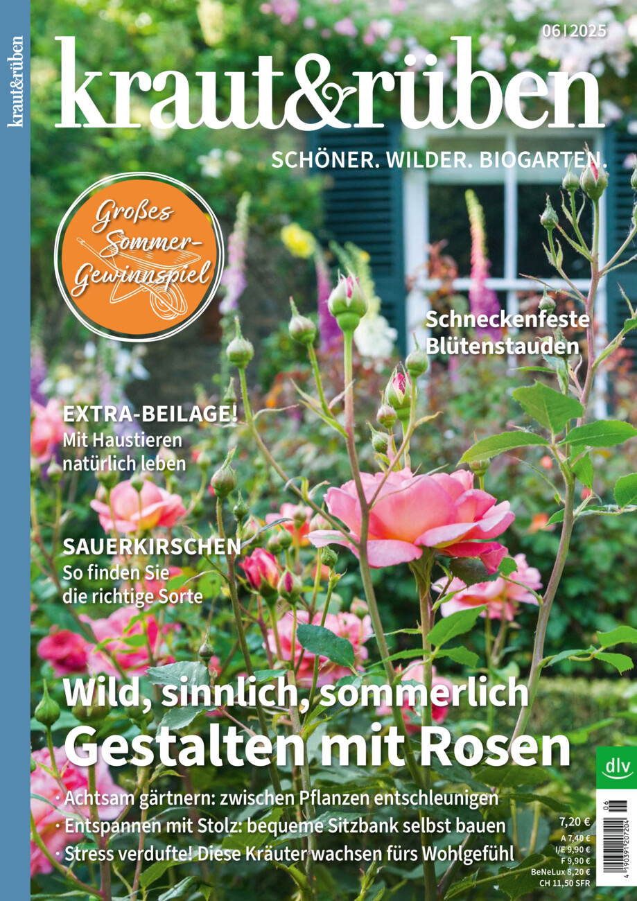 kraut&rüben vom Donnerstag, 15.05.2025
