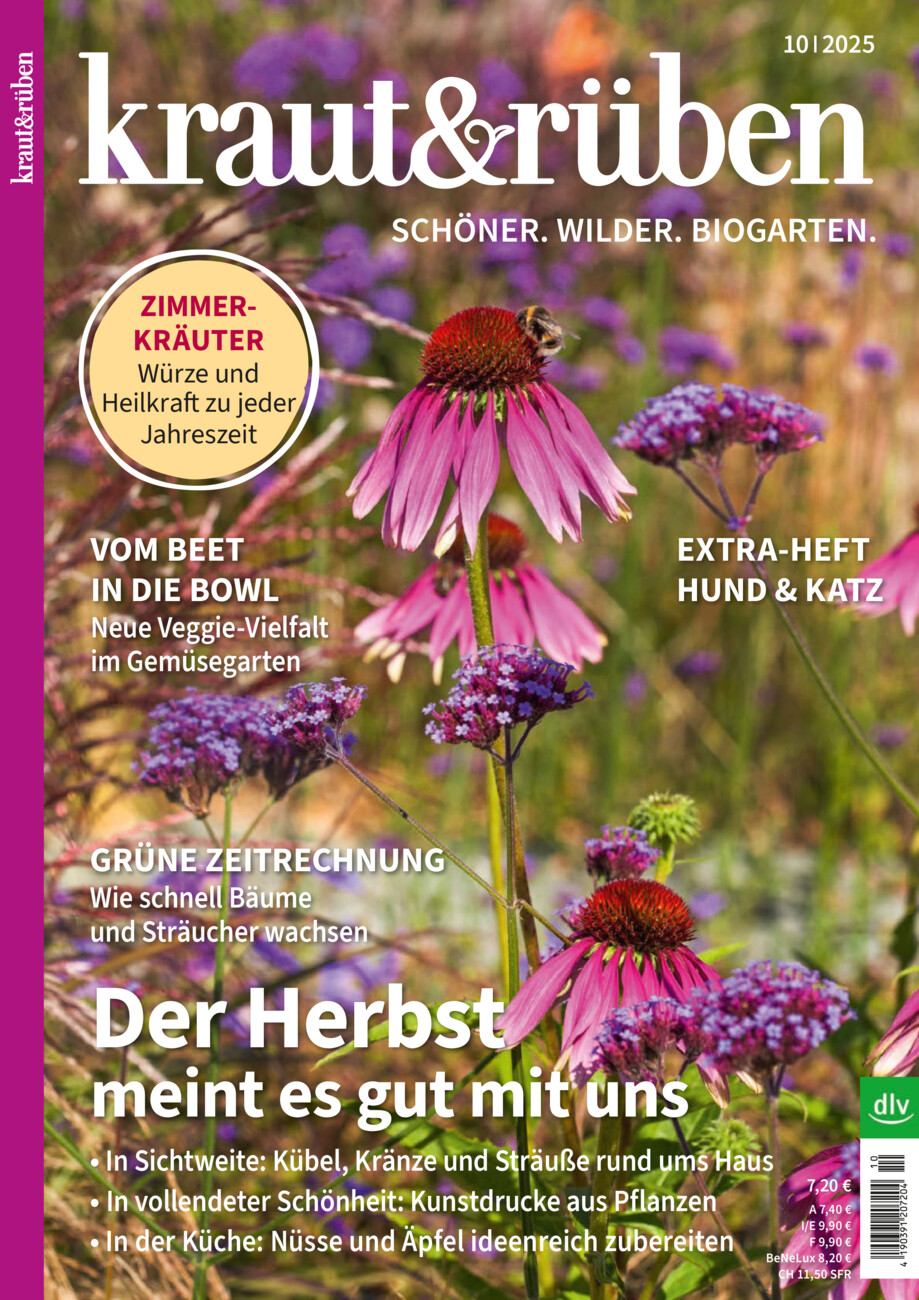 kraut & rüben vom Donnerstag, 18.09.2025