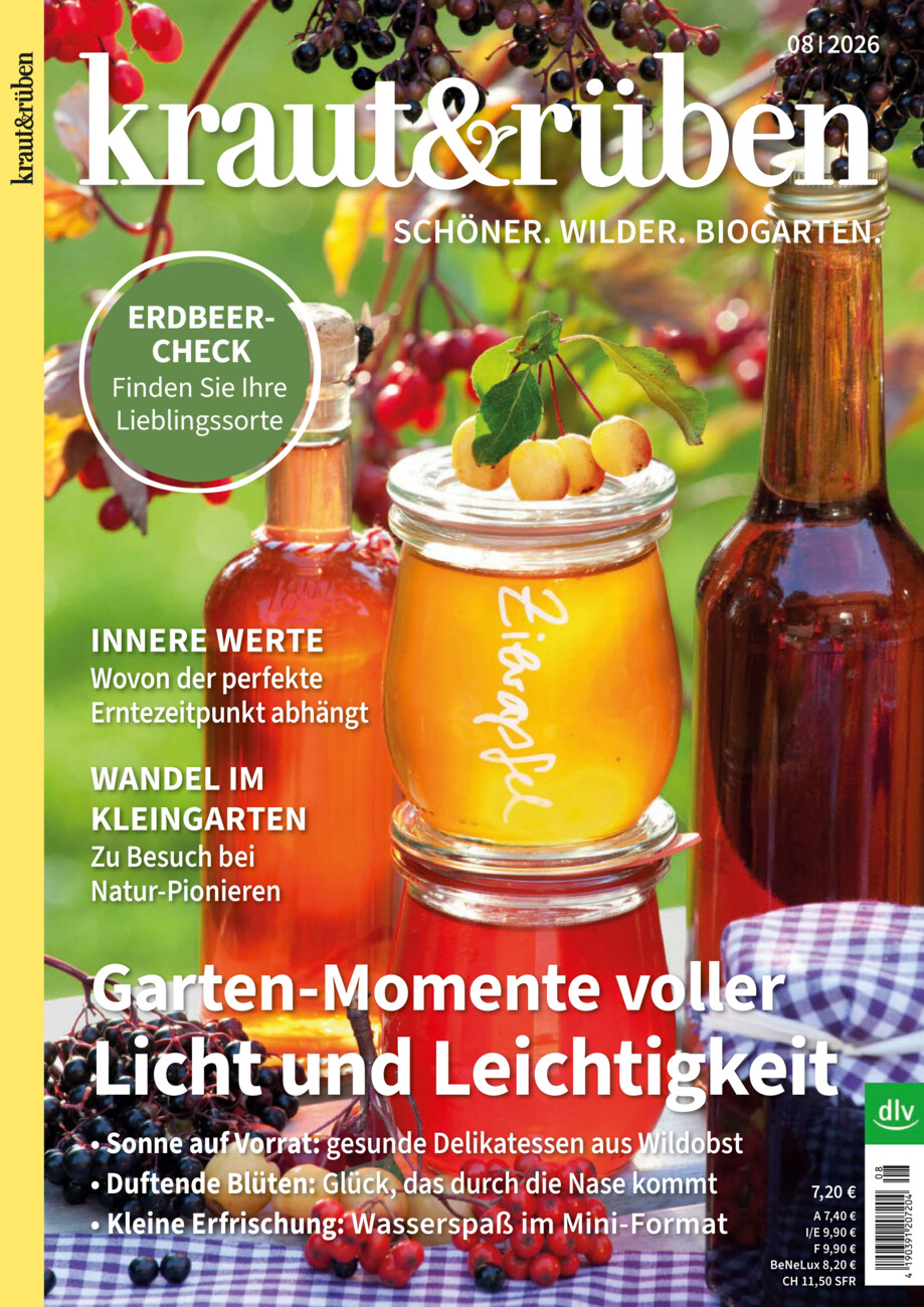 kraut & rüben vom Donnerstag, 16.07.2026