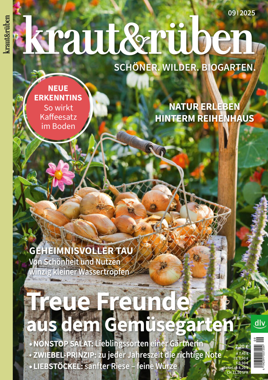 kraut & rüben vom Donnerstag, 14.08.2025
